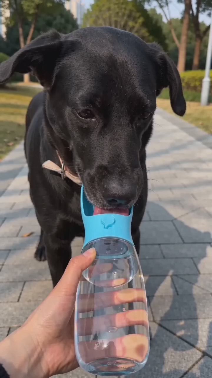 On-the-Go 3-in-1 Pet Water Bottle