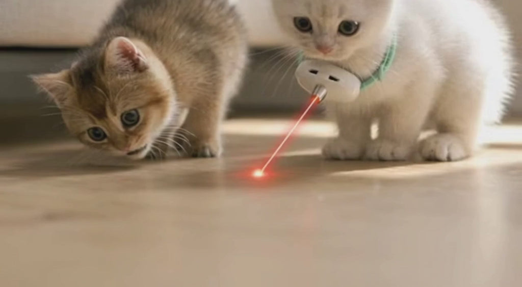 Adjustable Laser Cat Collar