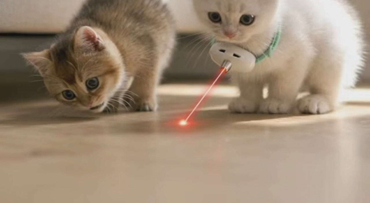 Adjustable Laser Cat Collar